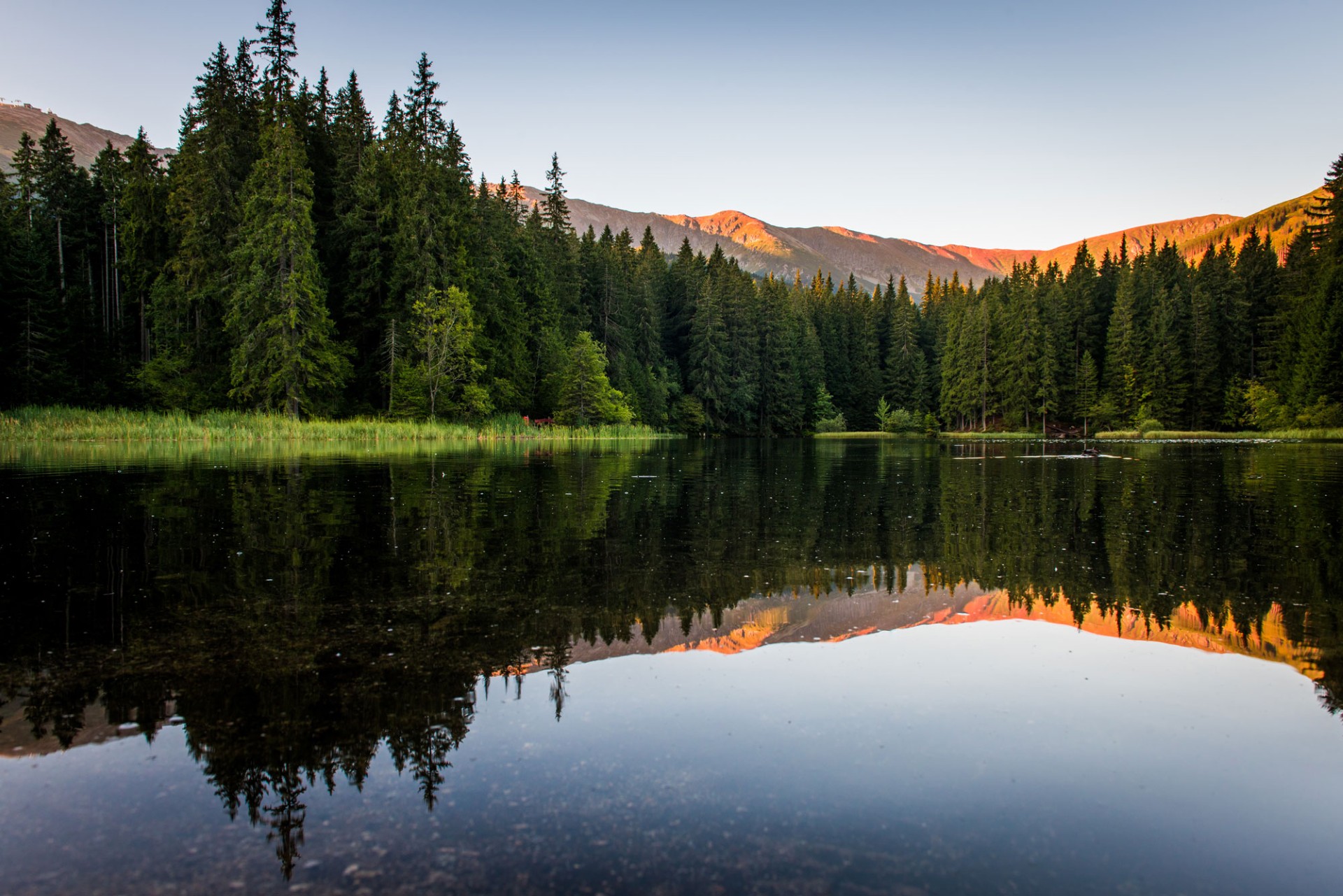 Vrbické jezero