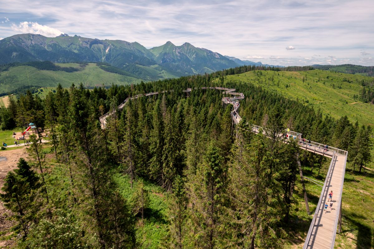 Chodník v korunách stromov Bachledka, v pozadí Vysoké Tatry